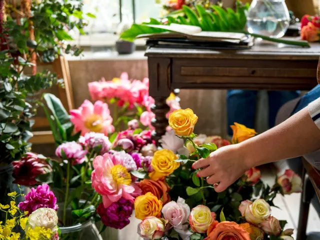 A hand picks put a flower from a colorful array