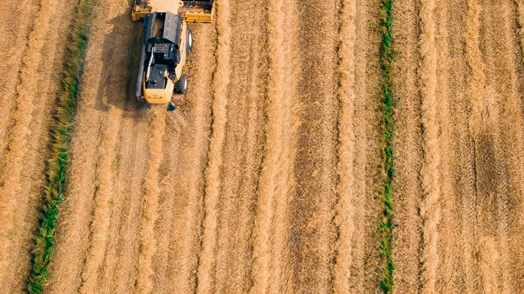 An overhead view of a thresher machine driving in a line through a crop field.