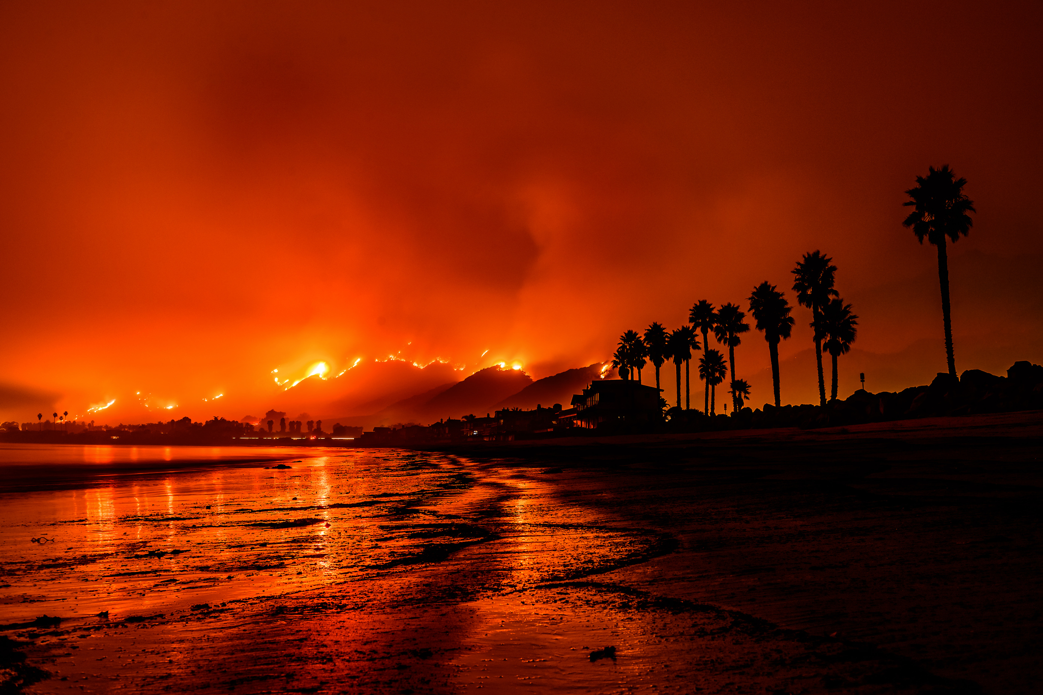 From Pandemic to Wildfires How SBA Disaster Loans Support Restoring